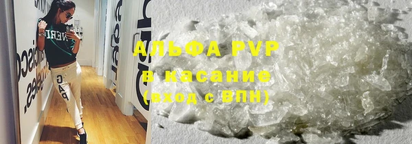 ешки Касимов