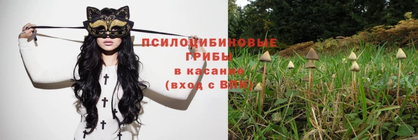 ешки Касимов